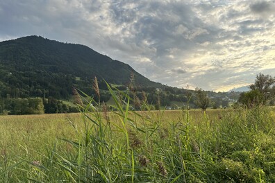Frastanzer Ried